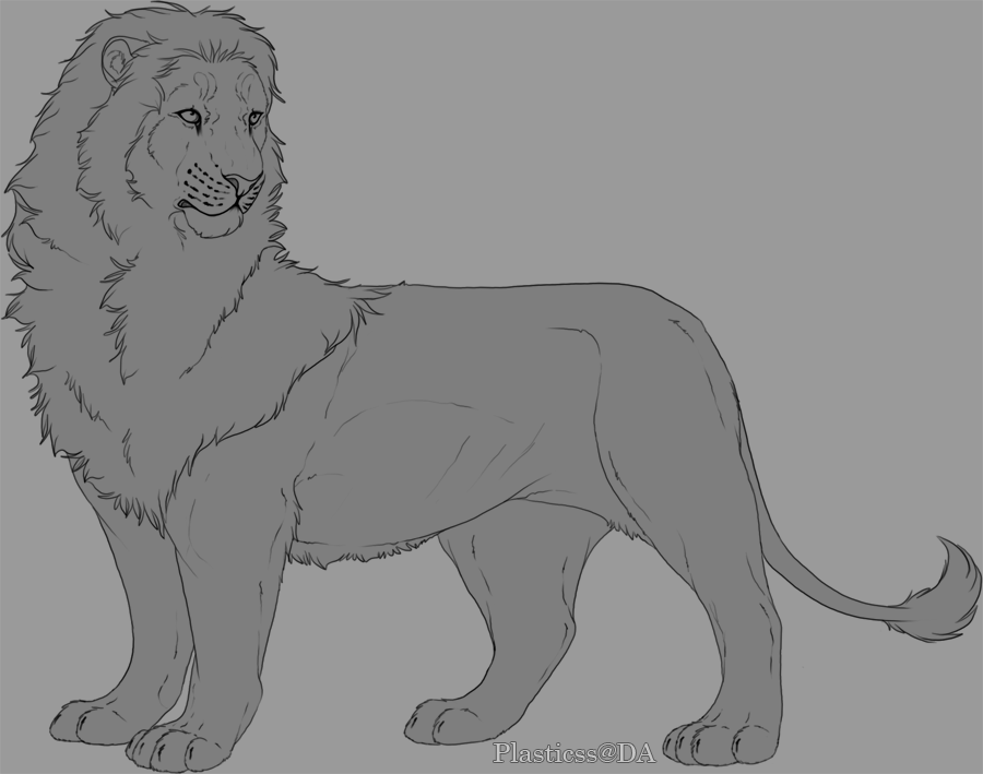 V.1 Lion male lineart