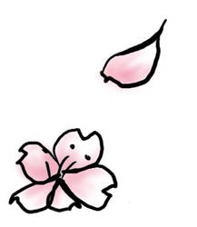 Sakura brushes