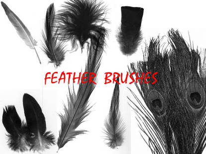 Feather Brushes