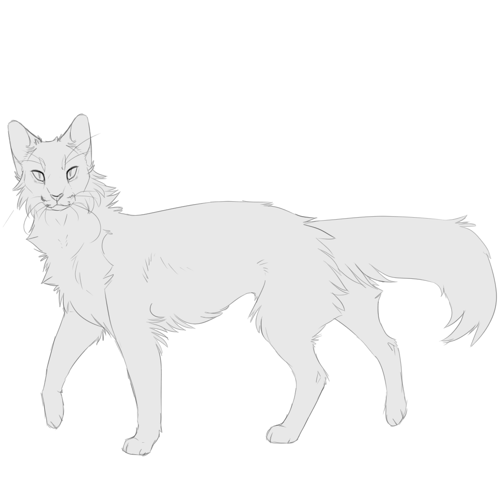 Cat Base F2U By Constellairis On DeviantArt