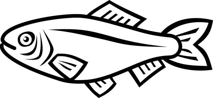 Explore Best Ikan Art On Deviantart
