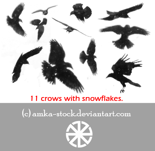 snow crows brushes