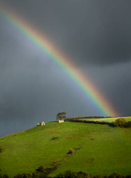 Rainbow in Sharpham