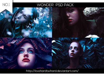 Wonder PSD Pack (01)