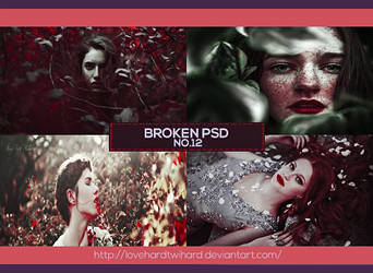PSD #83 - Broken Promises by RavenOrlov on DeviantArt