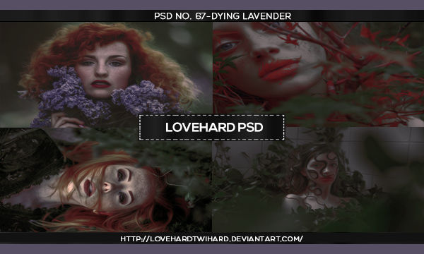 Dying Lavender PSD (67) by ashnxght on DeviantArt