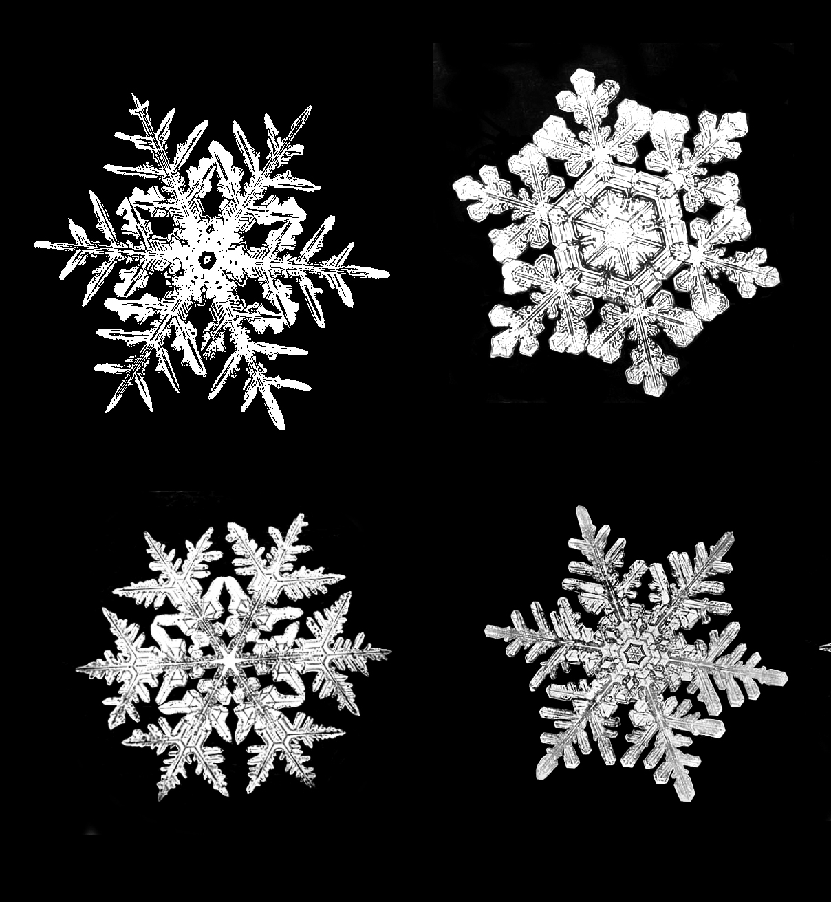 Bentley Snowflake Brushes