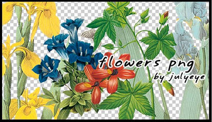 flower png