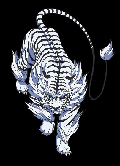 бьякко. бьякко. бьякко белый тигр хуманизация. бьякко. бьякко мифология человек.