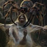 Spider struggle1
