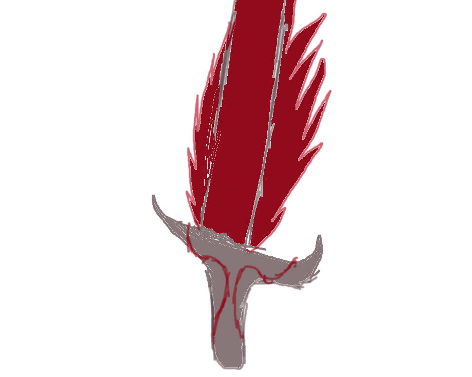 sword of fire by dinoking7711 on DeviantArt