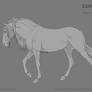 Lusitano|P2U Base|