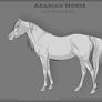 Arabian horse |P2U BASE|