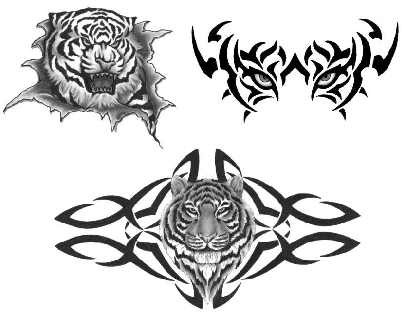 Тату на кисть Кельтский узор. Кельтский тигр тату. Кельтский узор тигр. Тату тигра с кельтскими узорами
