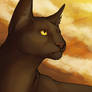 AWAW week three Ravenpaw