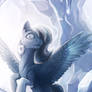 Snowdrop