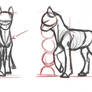 Pony anatomy, Earth pony
