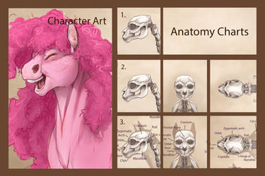 Patreon Rewards Preview: May.