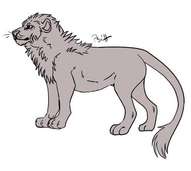 Lion lineart