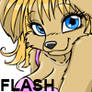 Nina - Flash Badge