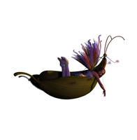 Fae Stock PNG