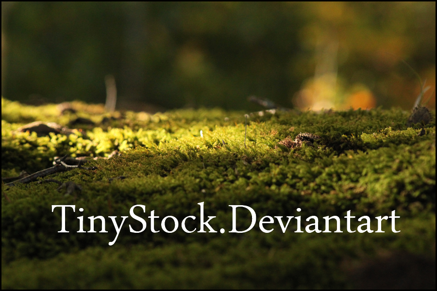 Moss 2 by TinyStock on DeviantArt