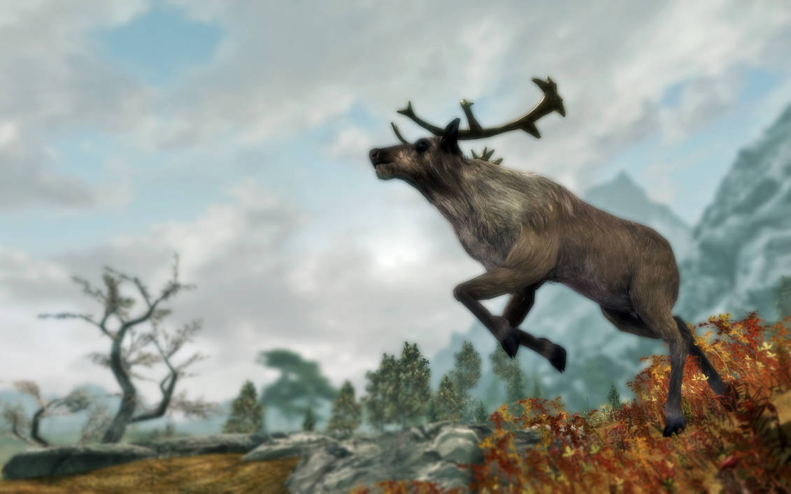 skyrim___deer_by_svenschreurs_d72tyut-pre.jpg