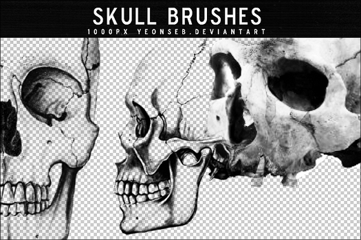 SKULL BRUSHES