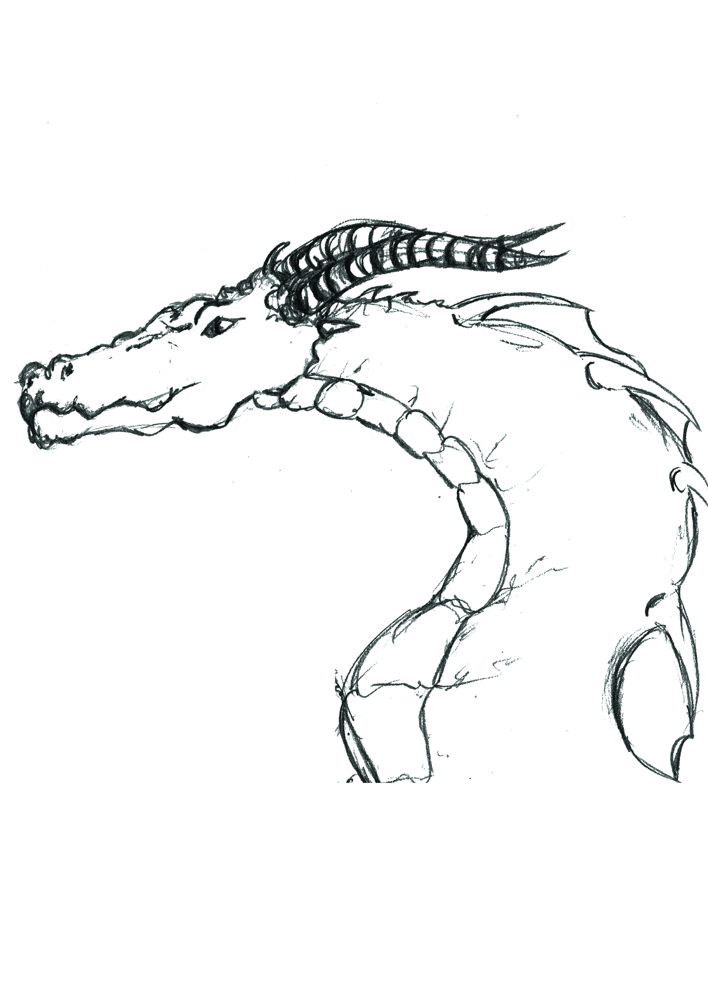 Dragon Sketch