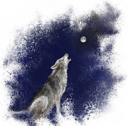 Wolf Speedpaint Drawing