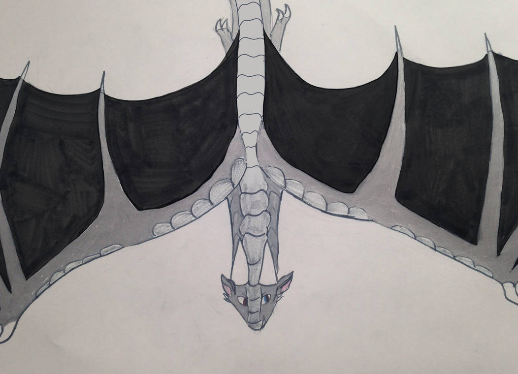Soaring by Brightfire12 on DeviantArt