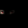I Will Make My Return!