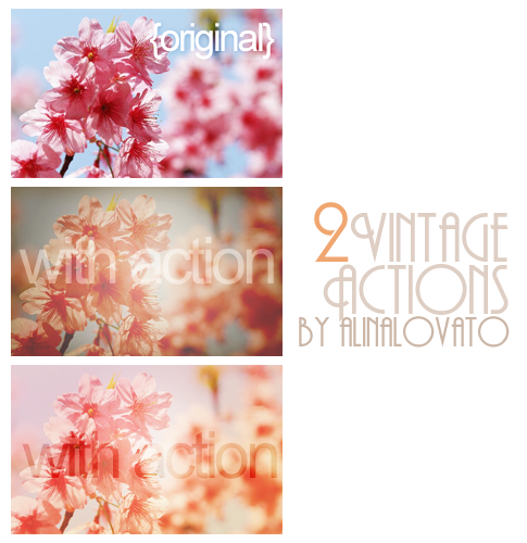 Vintagee 65th Action