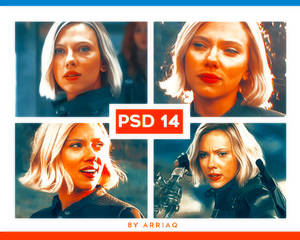 PSD #14