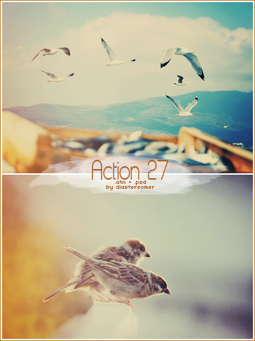 Action 27 + PSD