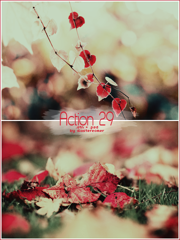 Action 29 + PSD