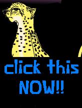 CHEETAH PETS