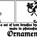 Ornamental Icon Frame Brushes