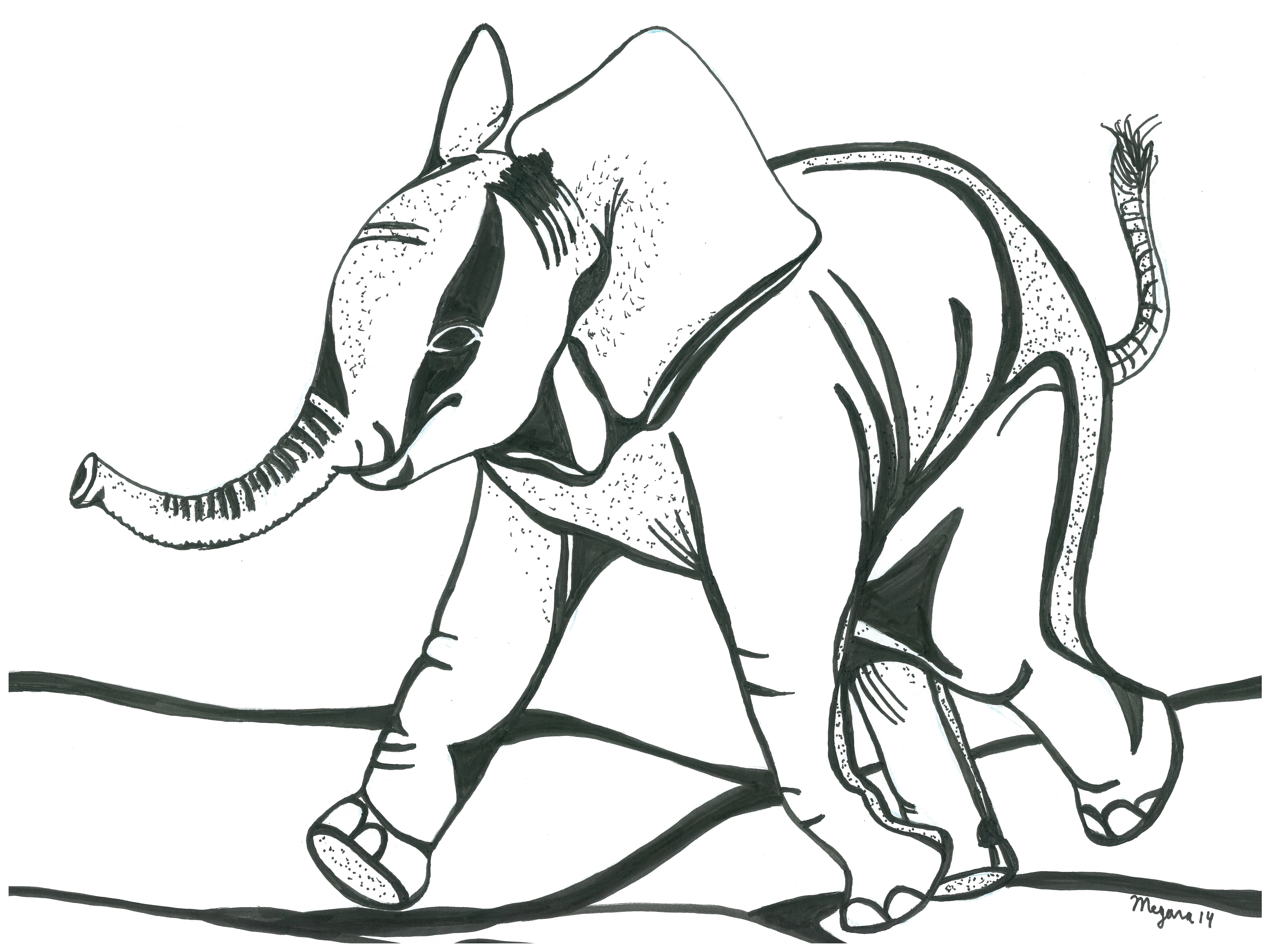 Baby Elephant Walking By Megara14 On Deviantart