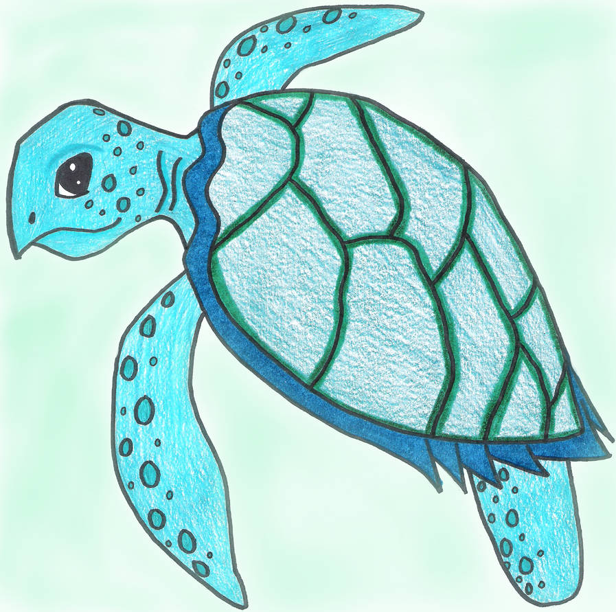 Maturin the Turtle by SSL13 on DeviantArt