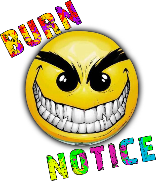 Burn Notice Logo 1