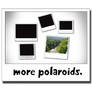 Polaroids 2