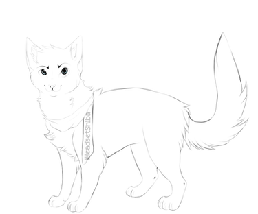 Cat Lineart