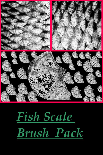 Fish Scale Photoshop Brush