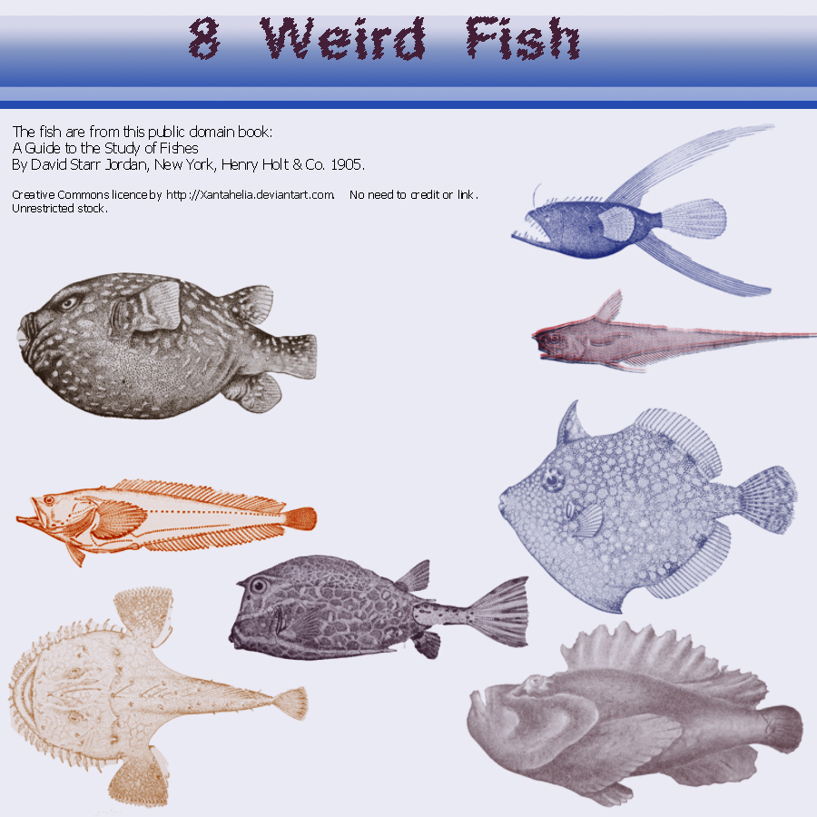 8 Weird Fish