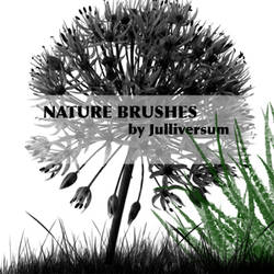 HIGH RES Nature Brushes