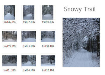 Snowy Trail photo pack by MapleRose-stock