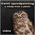 owlet speedpainting