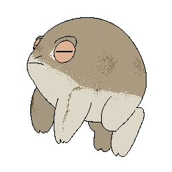 Desert Rain Frog By V0rhees On Deviantart