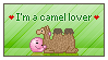 I'm a camel lover
